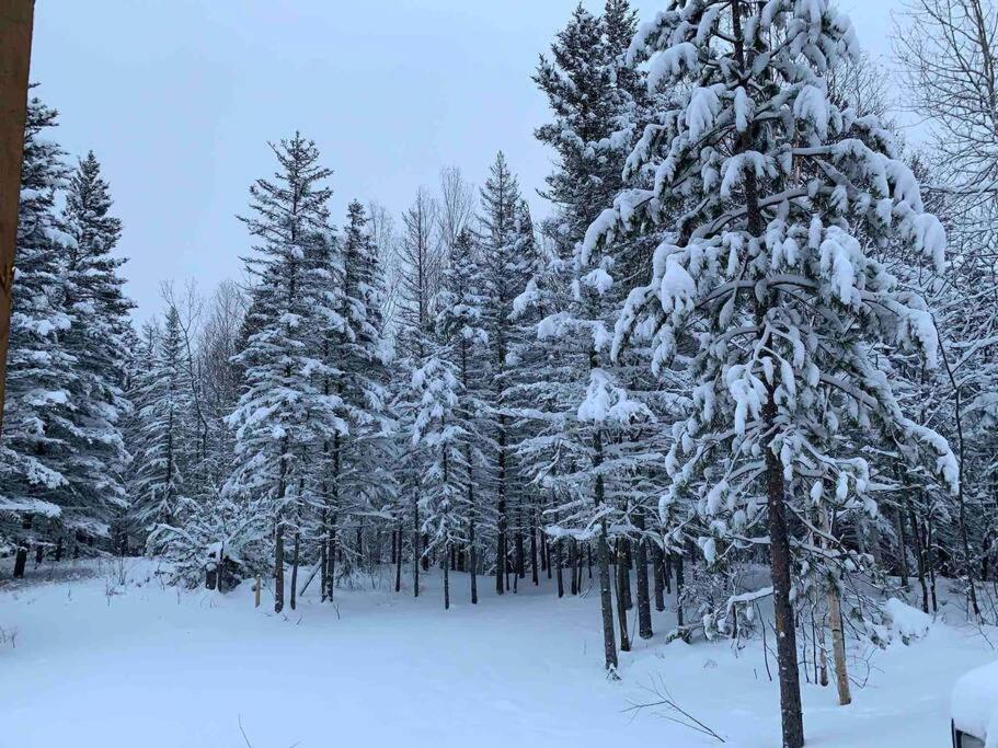 Appartement Mont Edouard, Hebergement Paisible A La Montagne L'Anse-Saint-Jean Bagian luar foto