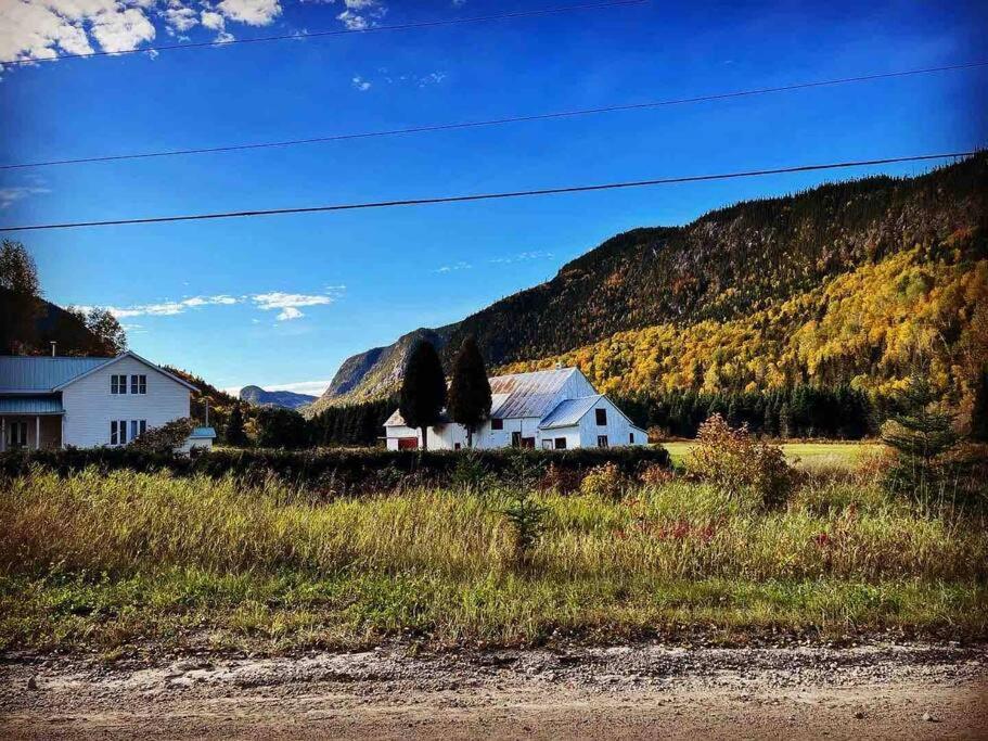 Appartement Mont Edouard, Hebergement Paisible A La Montagne L'Anse-Saint-Jean Bagian luar foto