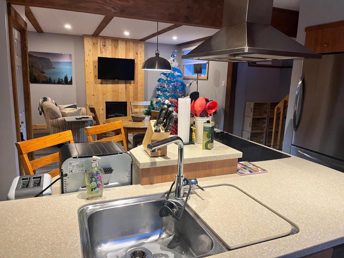 Appartement Mont Edouard, Hebergement Paisible A La Montagne L'Anse-Saint-Jean Bagian luar foto