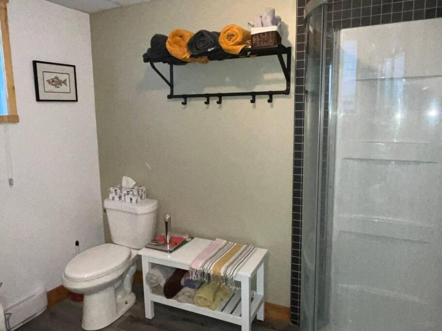 Appartement Mont Edouard, Hebergement Paisible A La Montagne L'Anse-Saint-Jean Bagian luar foto
