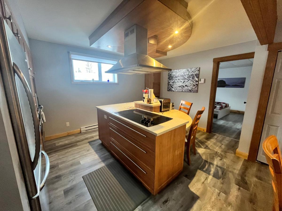 Appartement Mont Edouard, Hebergement Paisible A La Montagne L'Anse-Saint-Jean Bagian luar foto